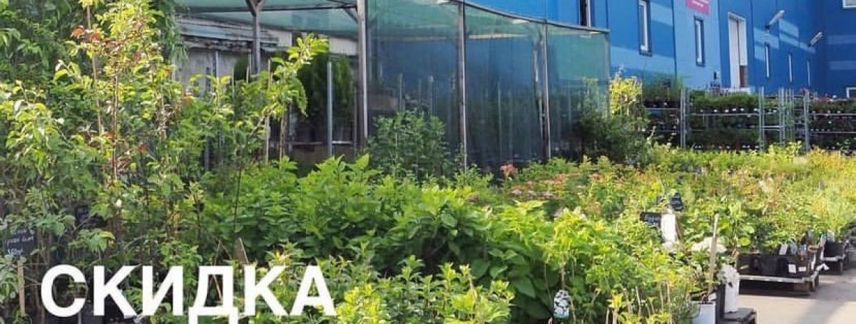 РАСПРОДАЖА ассортимента растений для открытого грунта! НА ВСЕ -15% 